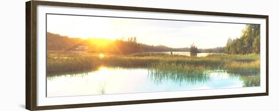 Sunny Marsh 2-Marcus Prime-Framed Premium Giclee Print