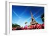 Sunny Morning and Eiffel Tower, Paris, France-Iakov Kalinin-Framed Photographic Print