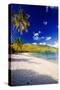 Sunny Morning in Magens Bay-George Oze-Stretched Canvas