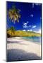 Sunny Morning in Magens Bay-George Oze-Mounted Photographic Print