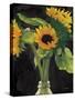 Sunny on Black-Sara Zieve Miller-Stretched Canvas