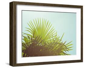 Sunny Palms I-Sonja Quintero-Framed Photographic Print