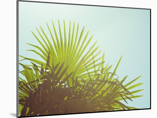 Sunny Palms I-Sonja Quintero-Mounted Photographic Print