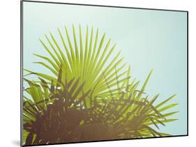 Sunny Palms I-Sonja Quintero-Mounted Photographic Print