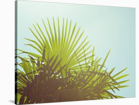 Sunny Palms I-Sonja Quintero-Stretched Canvas