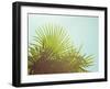 Sunny Palms I-Sonja Quintero-Framed Premium Photographic Print