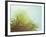 Sunny Palms I-Sonja Quintero-Framed Photographic Print