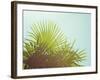 Sunny Palms I-Sonja Quintero-Framed Photographic Print