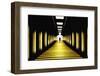 Sunny Path-Samanta-Framed Photographic Print