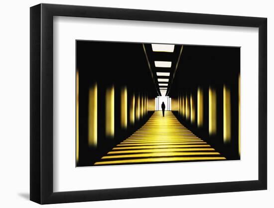 Sunny Path-Samanta-Framed Photographic Print