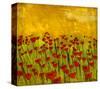 Sunny Poppy Field II-Anne Hempel-Stretched Canvas