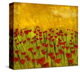 Sunny Poppy Field II-Anne Hempel-Stretched Canvas