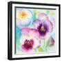 Sunny Side Orchids-Lanie Loreth-Framed Art Print