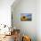 Sunny Side Up-Darren White Photography-Mounted Photographic Print displayed on a wall