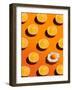 Sunny Side-Dina Belenko-Framed Photographic Print