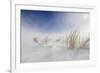 Sunny snowstorm-Carlo Tonti-Framed Photographic Print