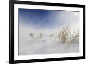 Sunny snowstorm-Carlo Tonti-Framed Photographic Print