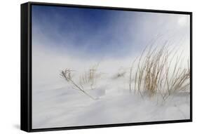 Sunny snowstorm-Carlo Tonti-Framed Stretched Canvas