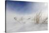 Sunny snowstorm-Carlo Tonti-Stretched Canvas