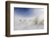 Sunny snowstorm-Carlo Tonti-Framed Photographic Print