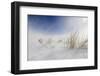 Sunny snowstorm-Carlo Tonti-Framed Photographic Print