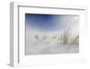 Sunny snowstorm-Carlo Tonti-Framed Photographic Print