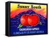 Sunny South Tasmanian Apples-null-Framed Stretched Canvas