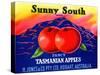 Sunny South Tasmanian Apples-null-Stretched Canvas