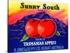 Sunny South Tasmanian Apples-null-Stretched Canvas