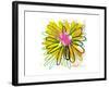 Sunny Splash Flower-Elle Stewart-Framed Art Print