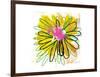 Sunny Splash Flower-Elle Stewart-Framed Art Print