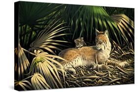 Sunny Spot Bobcat with Kittens-Wilhelm Goebel-Stretched Canvas