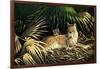 Sunny Spot Bobcat with Kittens-Wilhelm Goebel-Framed Giclee Print