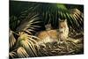 Sunny Spot Bobcat with Kittens-Wilhelm Goebel-Mounted Giclee Print