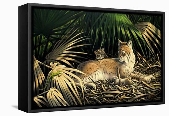 Sunny Spot Bobcat with Kittens-Wilhelm Goebel-Framed Stretched Canvas