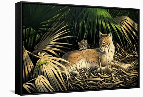 Sunny Spot Bobcat with Kittens-Wilhelm Goebel-Framed Stretched Canvas