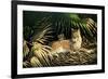 Sunny Spot Bobcat with Kittens-Wilhelm Goebel-Framed Premium Giclee Print