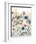 Sunny Sundries I-Grace Popp-Framed Art Print