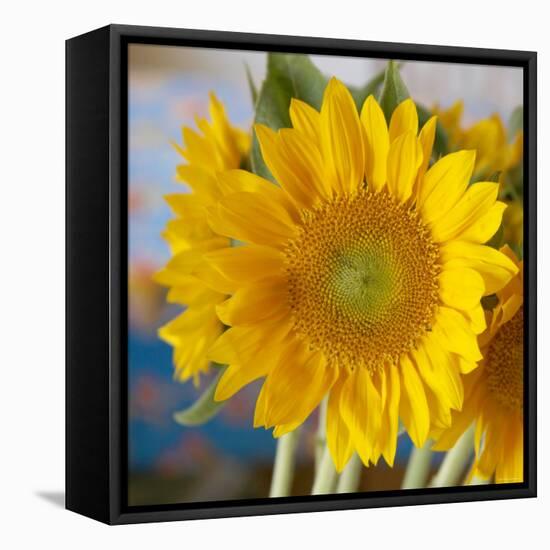 Sunny Sunflower I-Nicole Katano-Framed Stretched Canvas