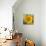 Sunny Sunflower I-Nicole Katano-Stretched Canvas displayed on a wall
