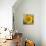 Sunny Sunflower I-Nicole Katano-Photo displayed on a wall