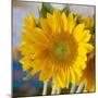 Sunny Sunflower I-Nicole Katano-Mounted Photo