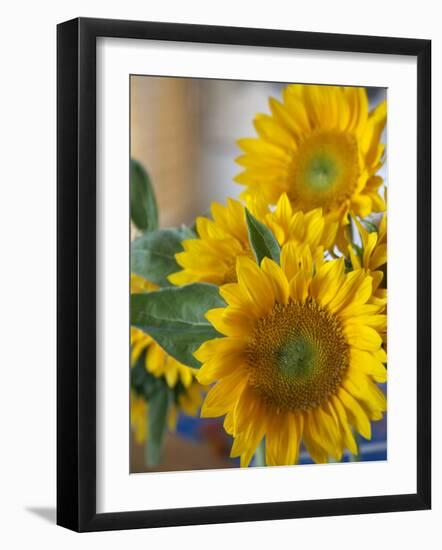 Sunny Sunflower II-Nicole Katano-Framed Photo
