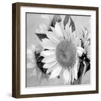 Sunny Sunflower II-Nicole Katano-Framed Photo