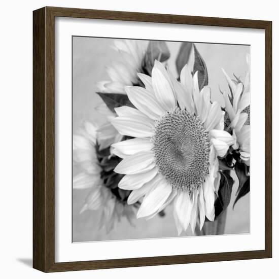 Sunny Sunflower II-Nicole Katano-Framed Photo