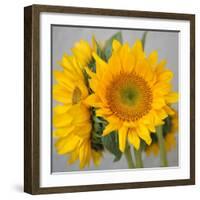 Sunny Sunflower III-Nicole Katano-Framed Photo