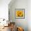 Sunny Sunflower III-Nicole Katano-Framed Photo displayed on a wall