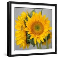 Sunny Sunflower III-Nicole Katano-Framed Photo