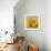 Sunny Sunflower III-Nicole Katano-Framed Photo displayed on a wall