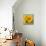 Sunny Sunflower III-Nicole Katano-Mounted Photo displayed on a wall